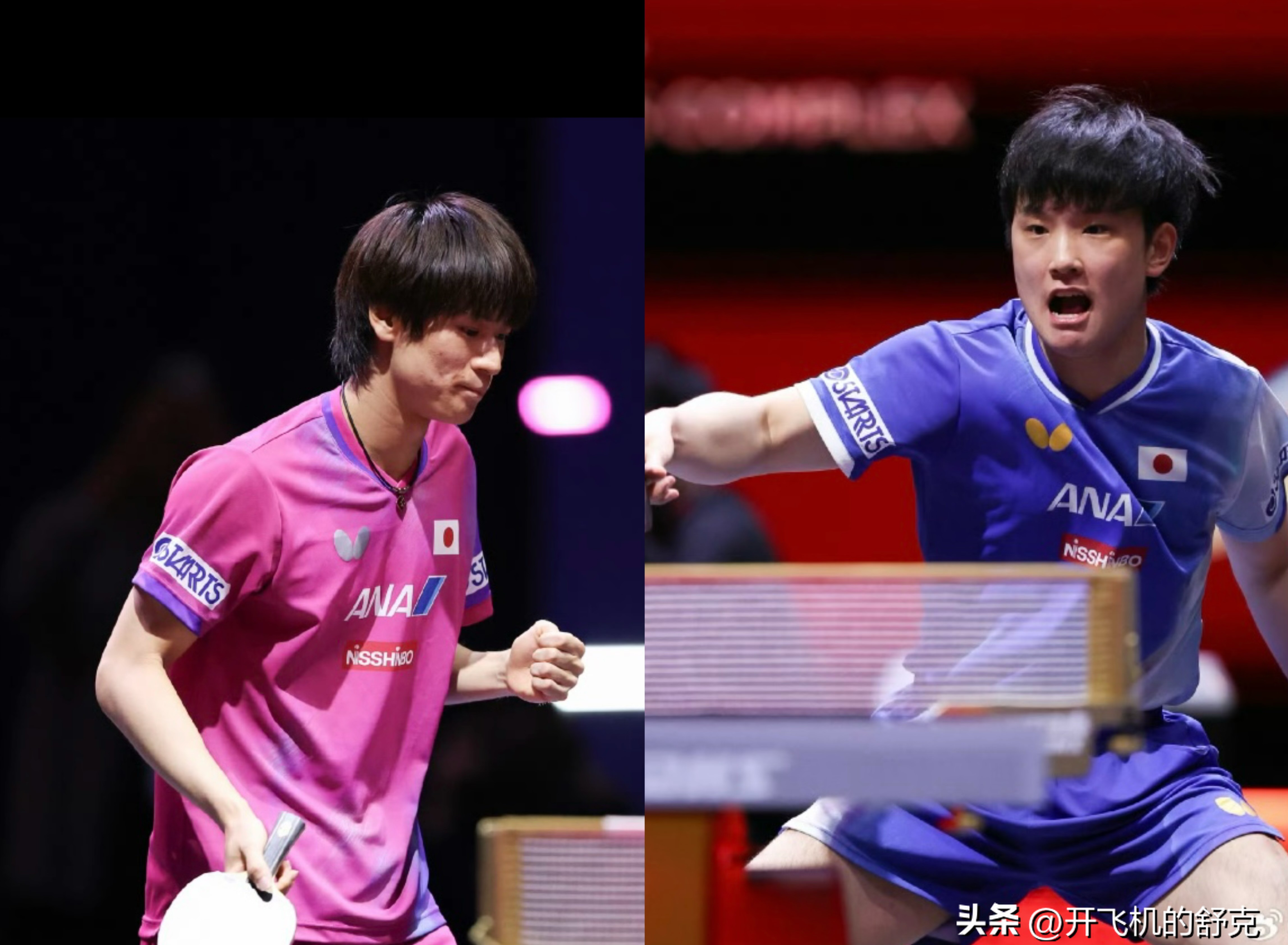 开云sport-包含日本乒乓球队鏖战韩国乒乓球队，波尔统治全场的词条