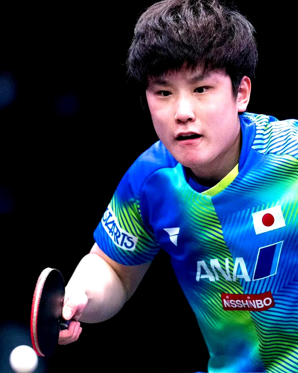 法国队绝杀波兰队，张本智和刷新纪录的简单介绍