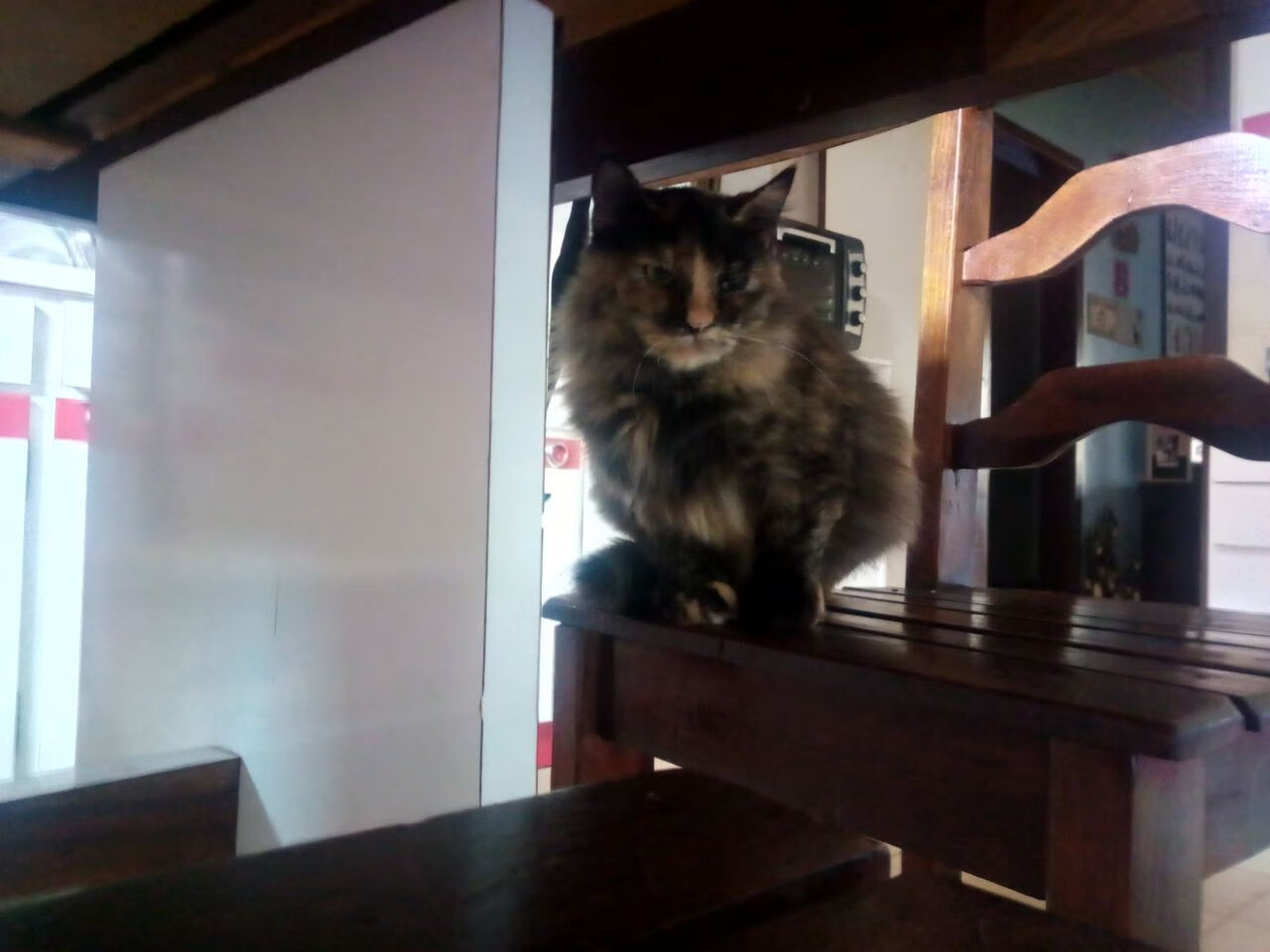 足球清晨的两种光芒，当绝杀嘶吼撞上纪录静音