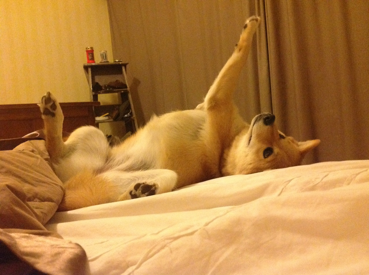 跨界对决,东契奇数据奇迹难挡热火团队烈焰