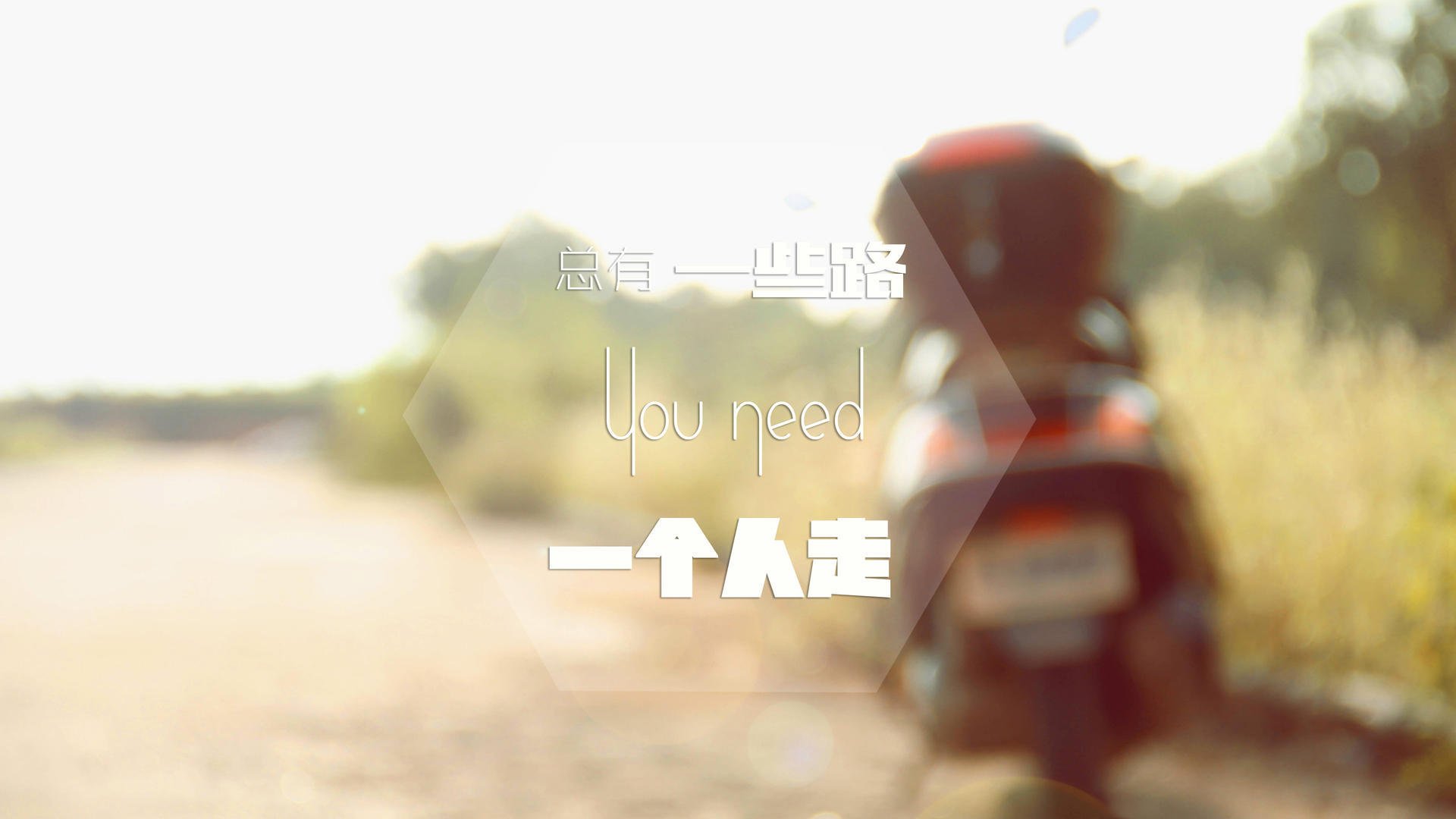 逆境中的双重奏,葡萄牙队翻盘与樊振东带队取胜的体育启示