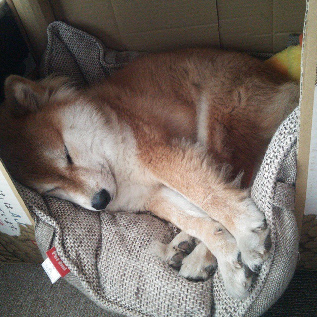 开云体育登录-速度与赋格，当F1轮胎的尖啸化作爵士乐横扫费城的夜晚