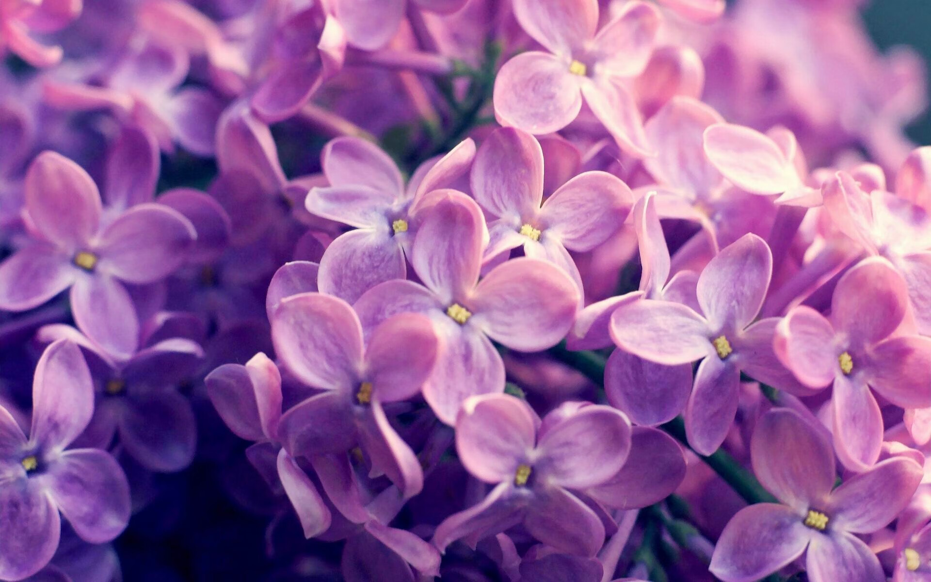 开云体育入口-唯一性之战，苏亚雷斯焦点时刻重塑传奇，那不勒斯碾压芬兰铸就欧洲荣耀