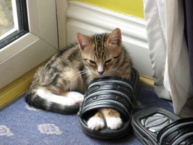 虚拟交锋，当格纳布里爆发遭遇威尔士式决胜局—论个人英雄主义与团队韧性的足球寓言