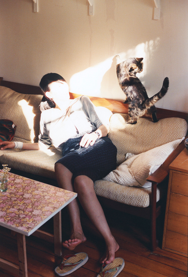 开云sport-当伊布的魔法掠过迦太基雄鹰，一场数据爆炸下的胜负悖论