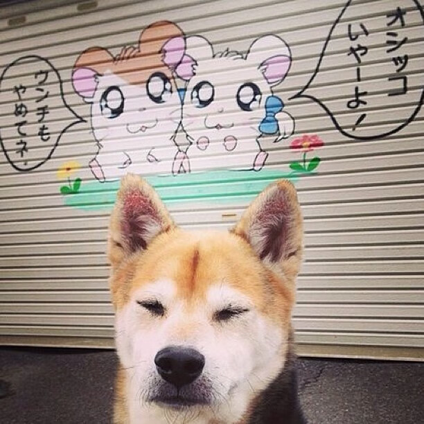 开云体育官网-巴尔韦德，维京铁匠与印加石匠的战场，铸造命运棱角