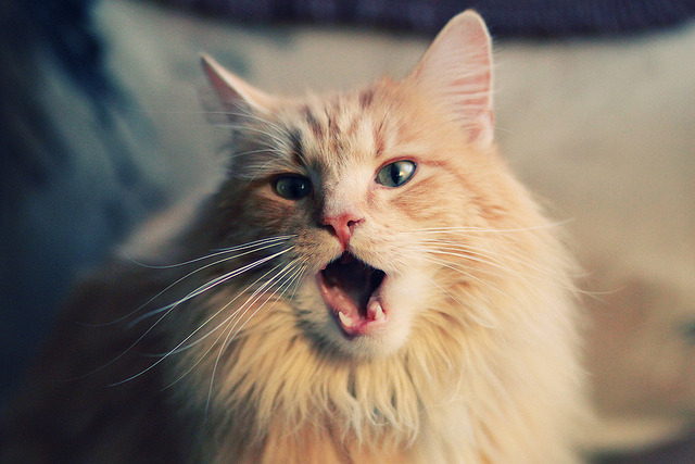 压制与接管的双重奏，赛场上的主宰瞬间