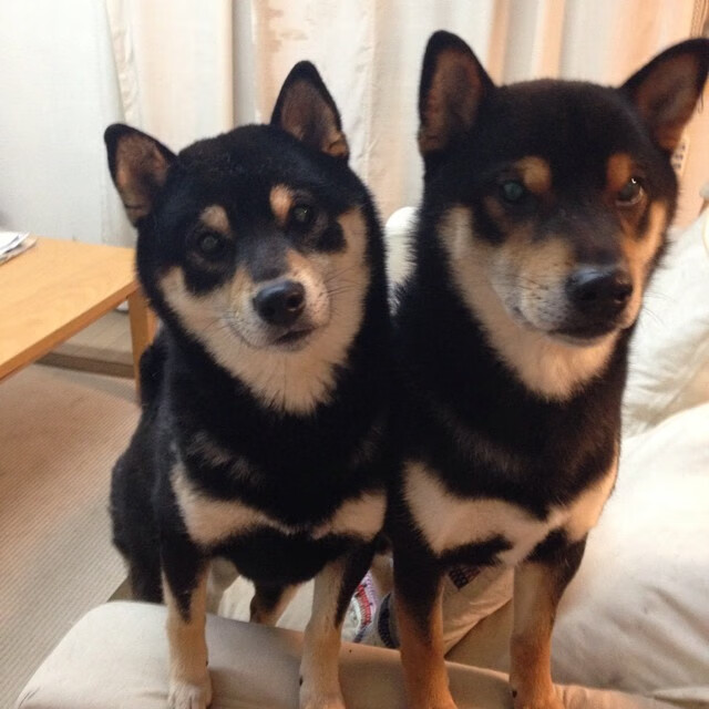 北极光下的红黑风暴，劳塔罗如何在雷克雅未克书写米兰唯一传奇