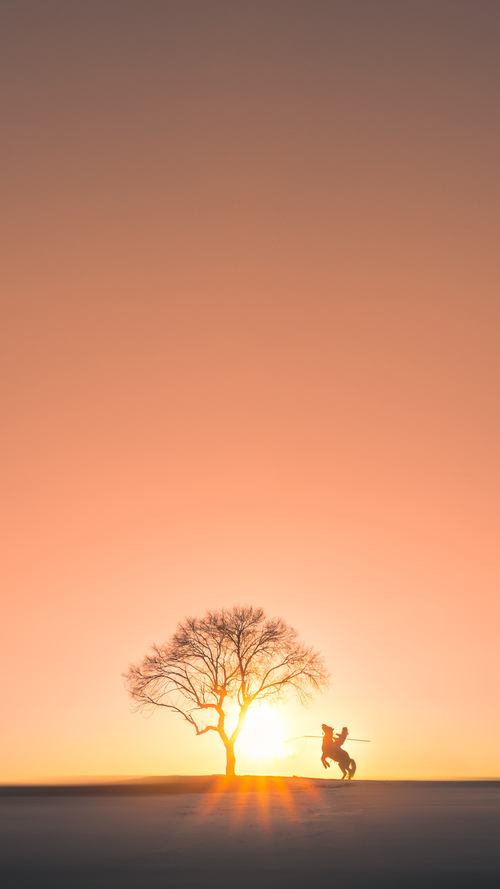 开云体育在线-当世界排名的齿轮咬合时，东契奇按下了快进键
