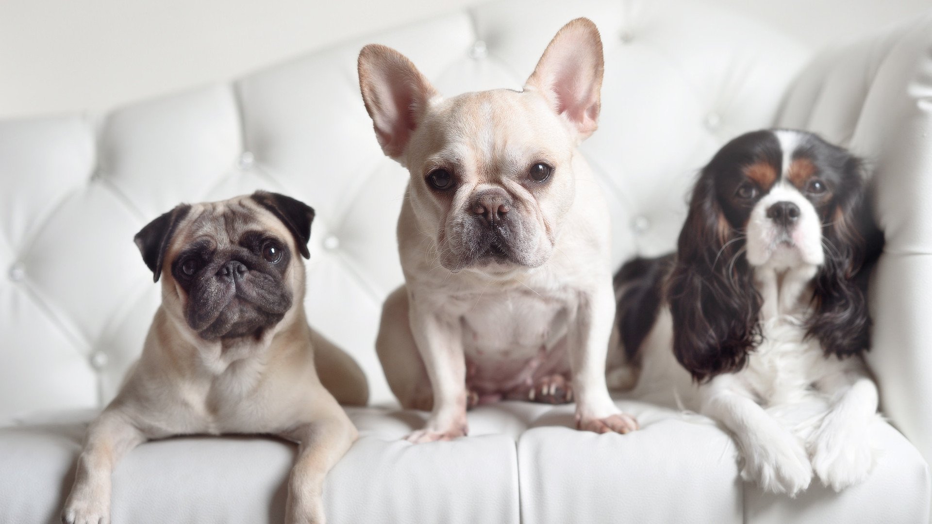 哈利伯顿的高光演出，改写纽约与亚特兰大的旧剧本