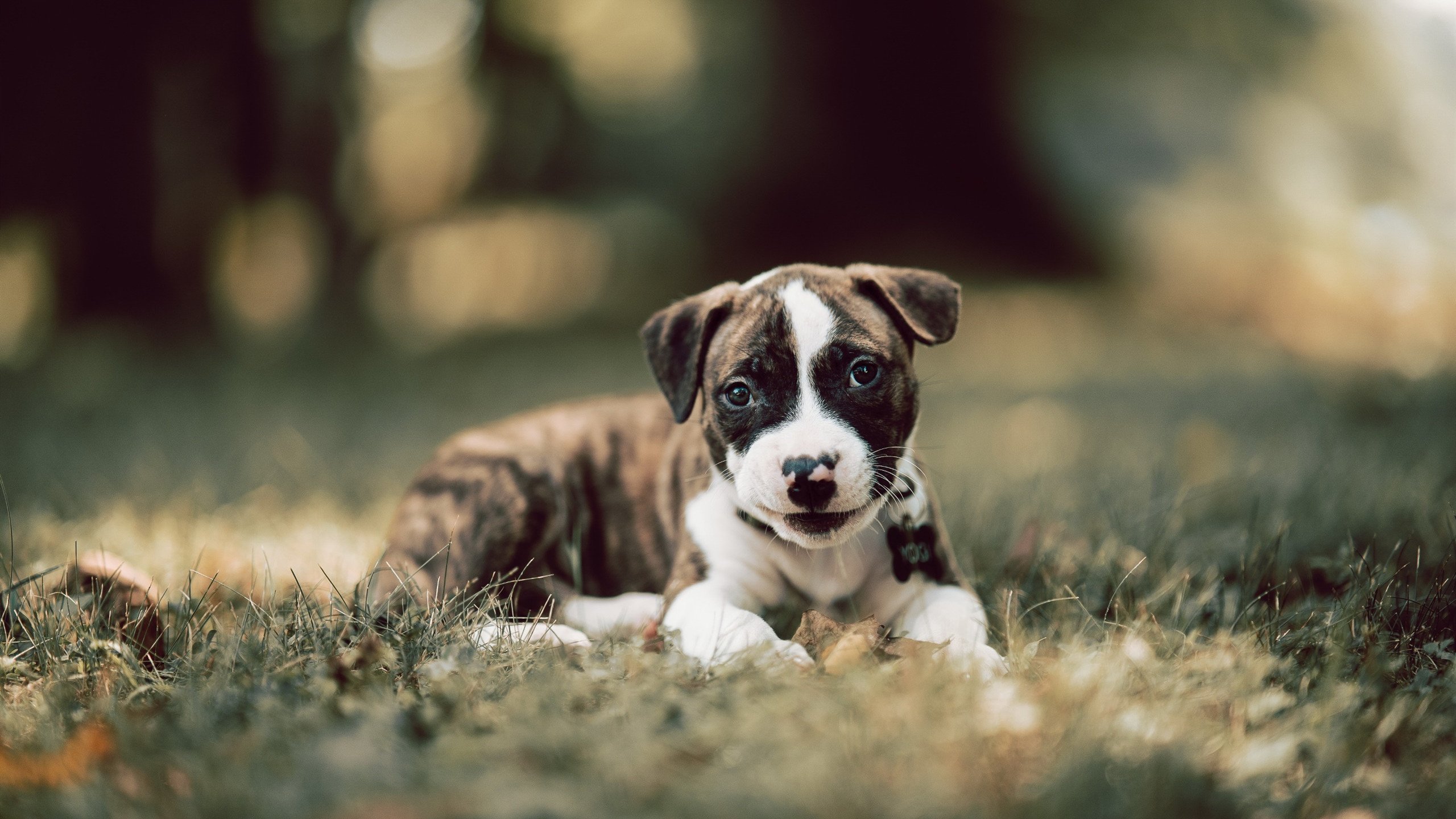 滑铁卢的逆转，莫德里奇如何在一场法国式围剿中拯救曼联