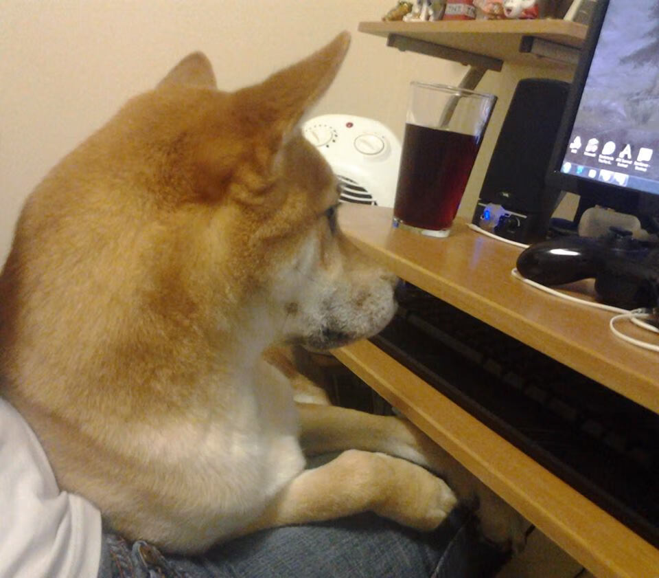 德甲争冠战之夜，贝林厄姆以节奏掌控演绎中场交响乐