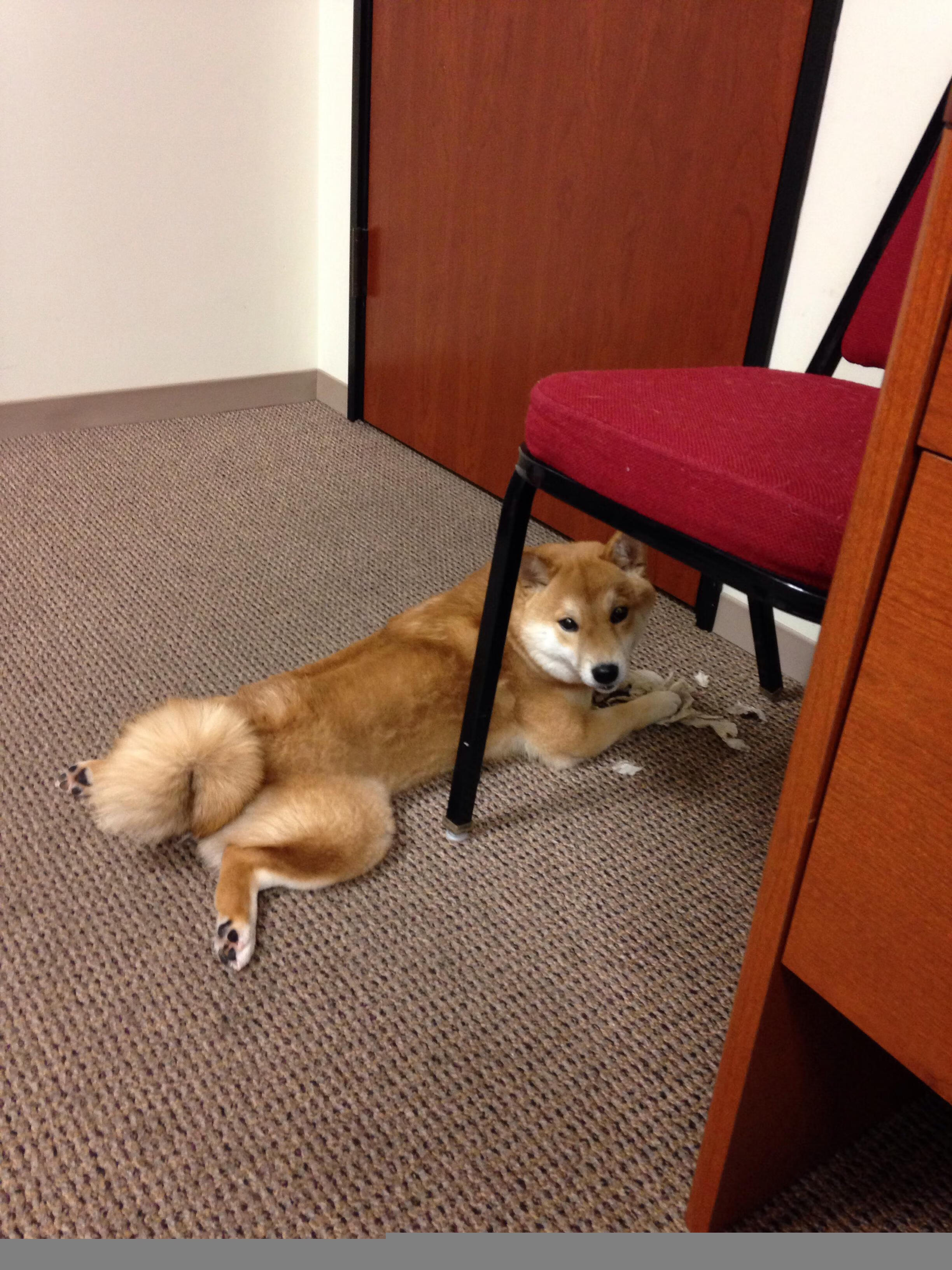 开云sport-超越复仇的团队里程碑，黄蜂终结七年之痒横扫热火，恩比德两记无情跳投锁定江山