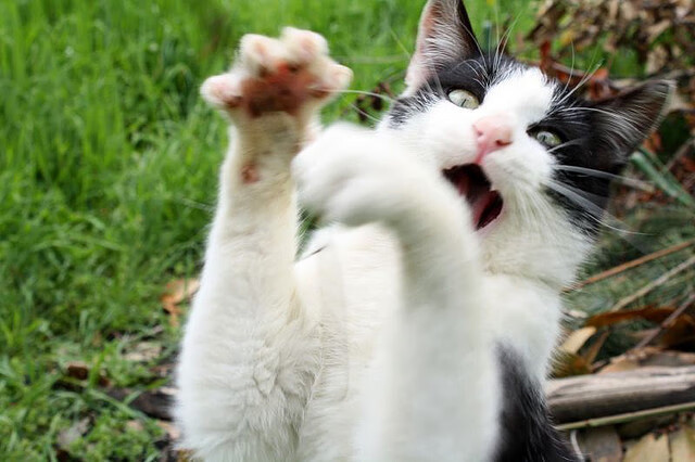 欧冠淘汰赛之夜，英格拉姆的自我救赎传奇