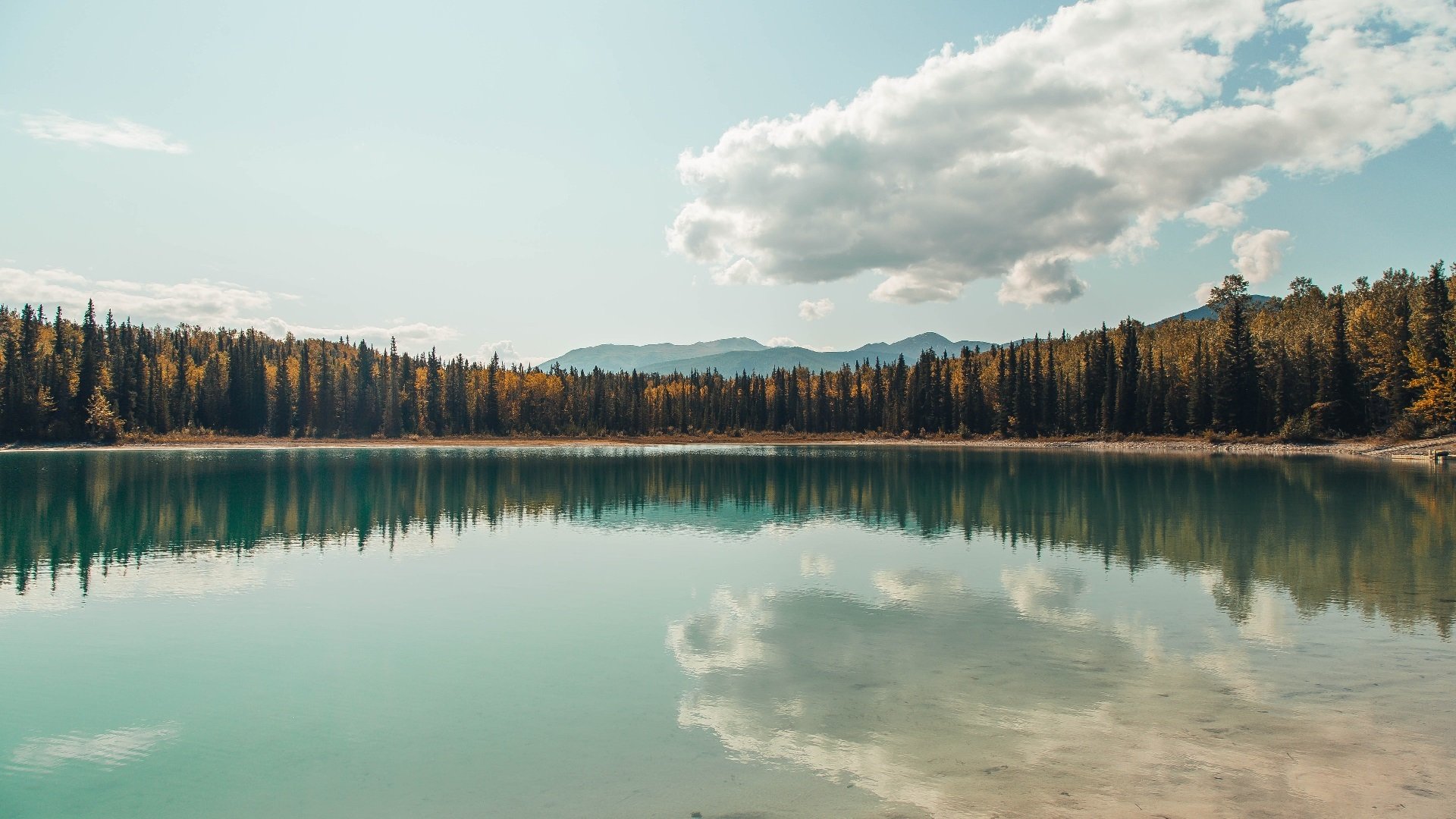 当戈贝尔奏响交响乐，一个蓝领巨人的生涯之夜如何重塑比赛