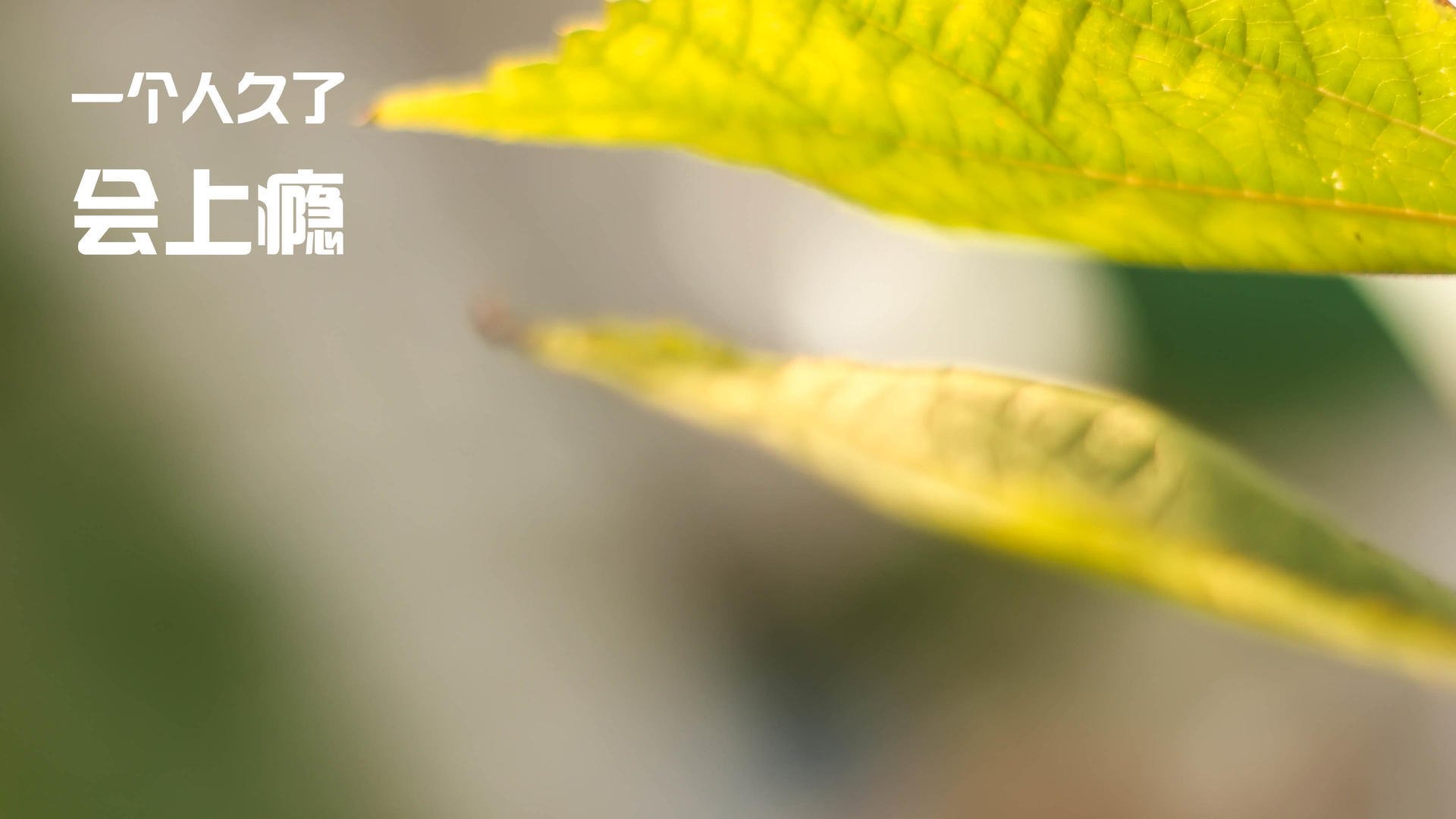 开云体育官网-数据与叙事，当乌克兰用非足球的方式赢下阿根廷