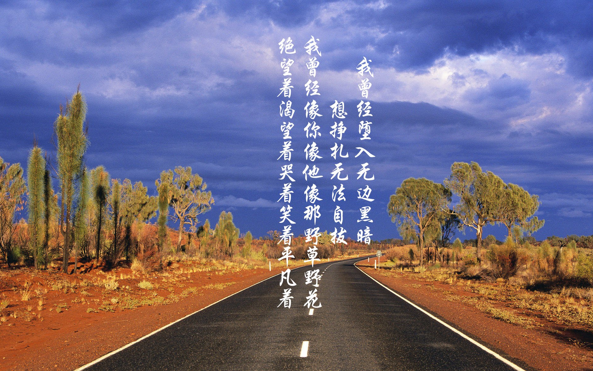 蓝月风暴席卷A组，福登闪耀引领罗马尼亚完胜摩洛哥，控球艺术成唯一王道