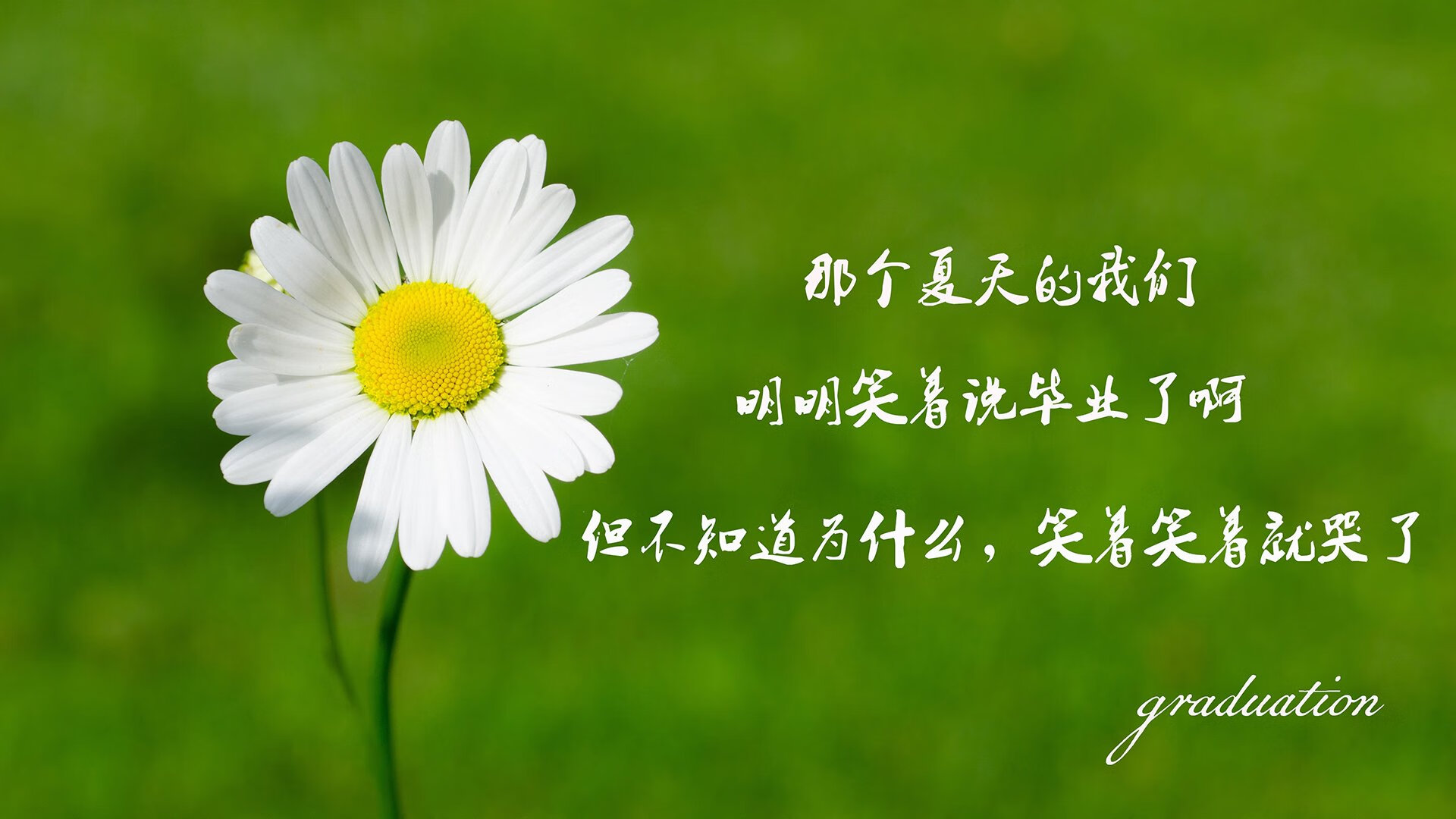 开云体育APP下载-沙漠与高原的碰撞，2026世界杯B组生死战，厄瓜多尔以铁血防守击碎伊朗，萨内—那道撕裂亚洲防线的闪电