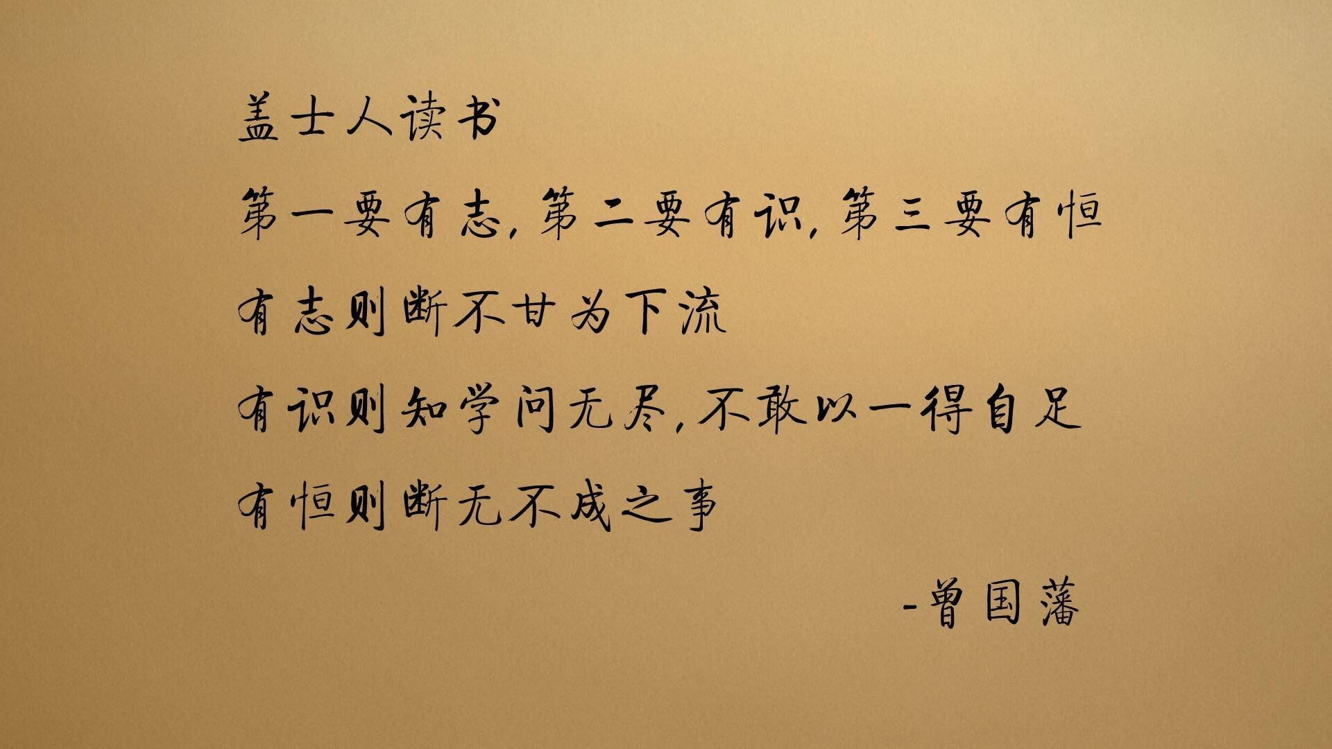 2026世界杯四分之一决赛，匈牙利碾压越南，哈兰德闪耀全场，防守反击奏效—一场唯一性的强强对话