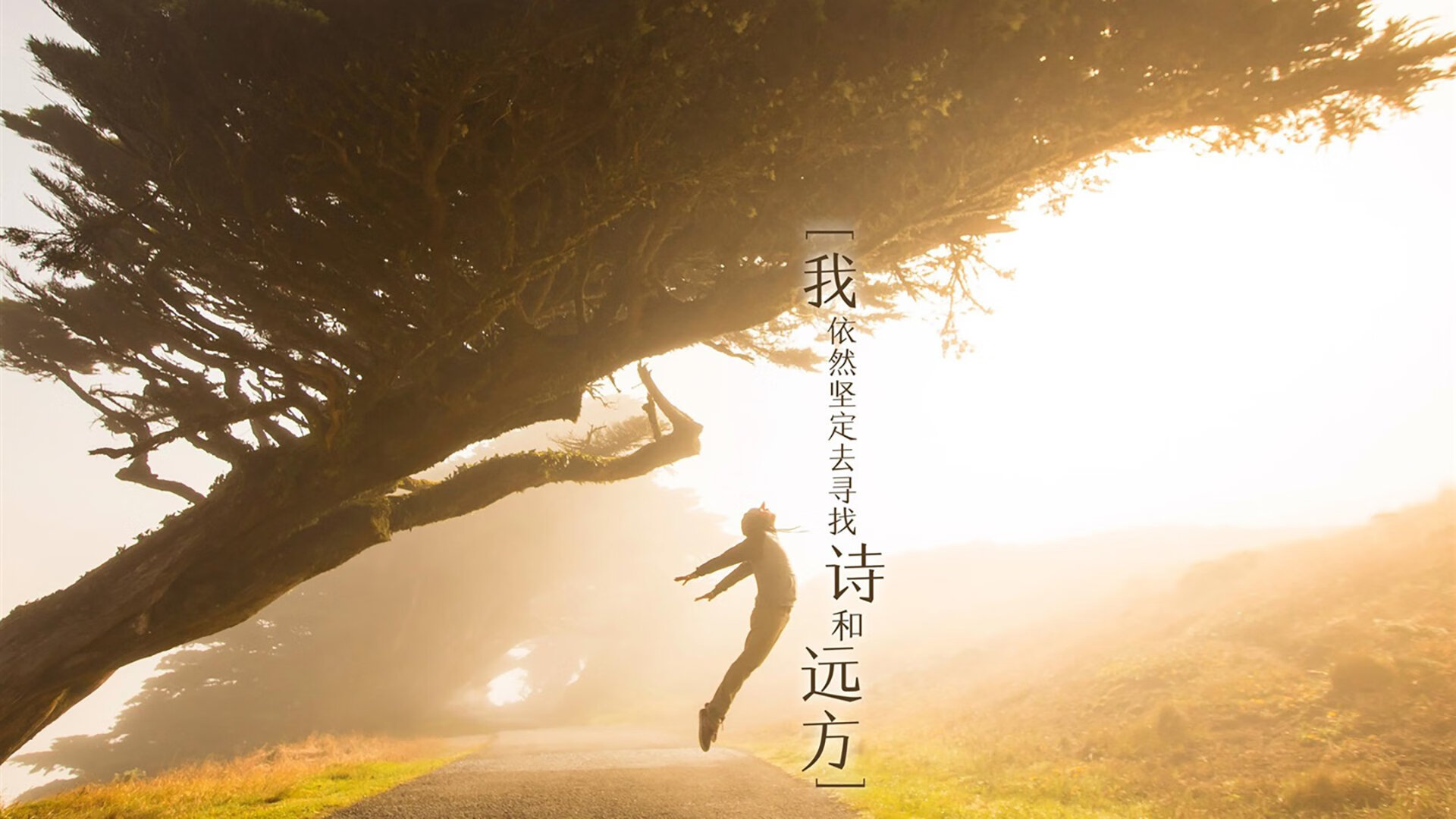 开云体育app-德容魔术师，一场临场变阵如何改写C组出线格局—匈牙利力克喀麦隆，世界杯黑马已在酝酿