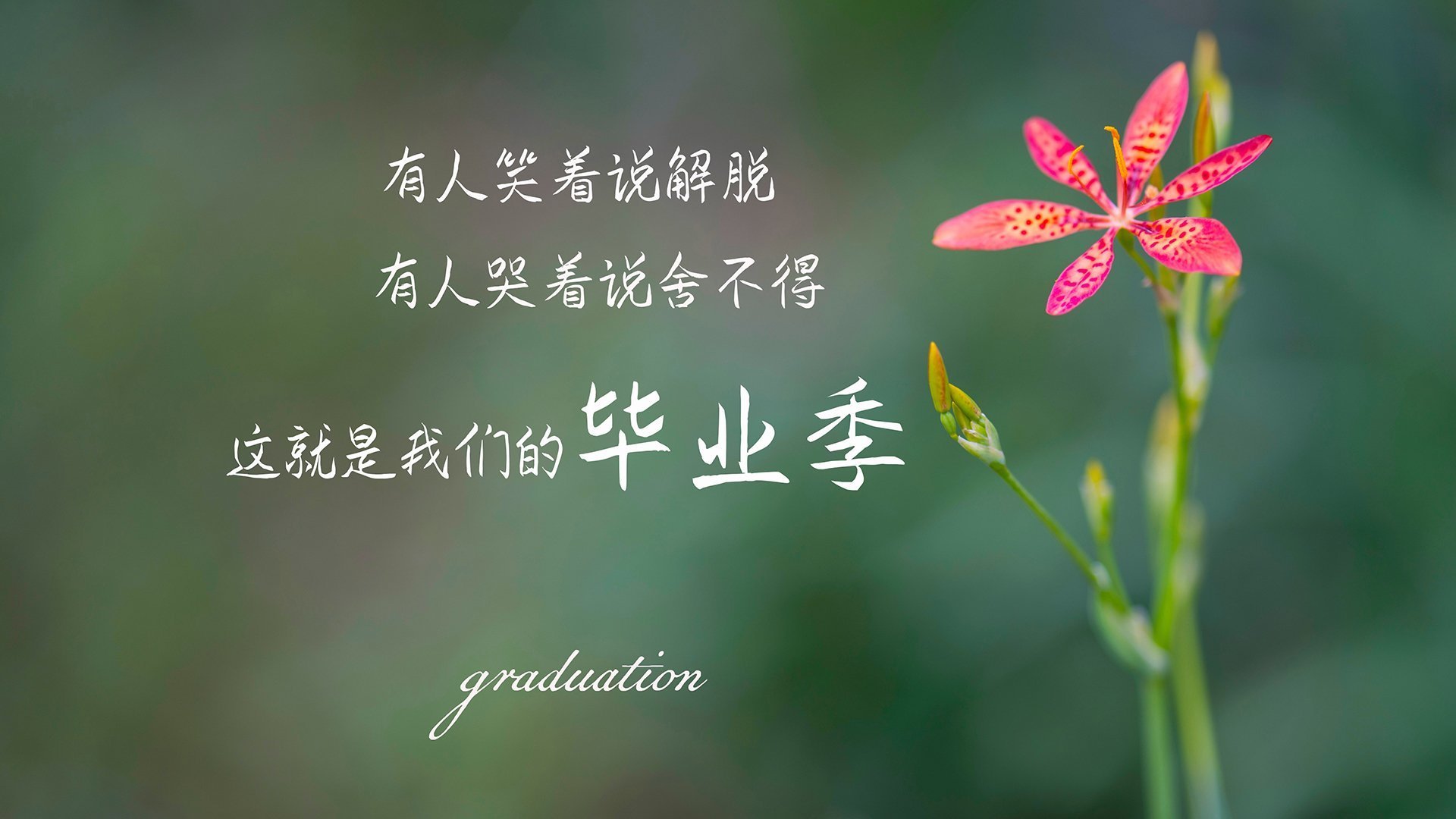 开云体育中国-逆转之夜，喀麦隆的怒吼与维尼修斯的独舞—2026世界杯C组最冷门的诞生